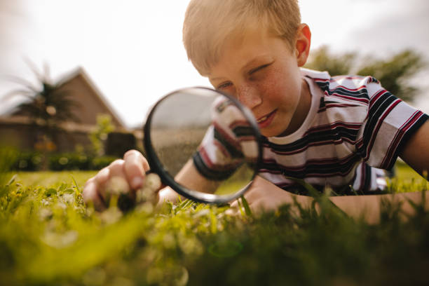 istock Boy exploring garden with his magnifying glass 1135929308