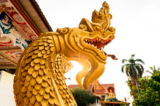 Stunning view of a beautiful gold-covered Naga (Snake Beings) in front of the Wat That Luang Tai during sunset. Vientiane, Laos. Nagas are mythical serpent beings that originated in Hinduism. In Buddhism, they often are protectors of the Buddha and of the dharma.