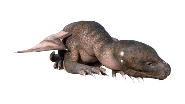 istock 3D illustration fantasy hatchling dragon on white 1135934939