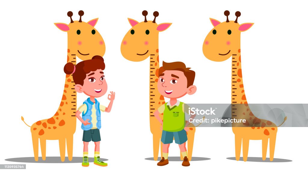 Cetvel Bebek Yüksekliği Zürafa Vector Oğlum Kızım Izole Düz Karikatür
