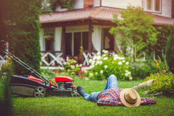 człowiek za pomocą kosiarki na swoim podwórku - lawn mower red plant lawn zdjęcia i obrazy z banku zdjęć