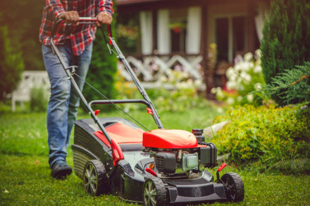 man using a lawn mower in his back yard - lawn mower red plant lawn imagens e fotografias de stock