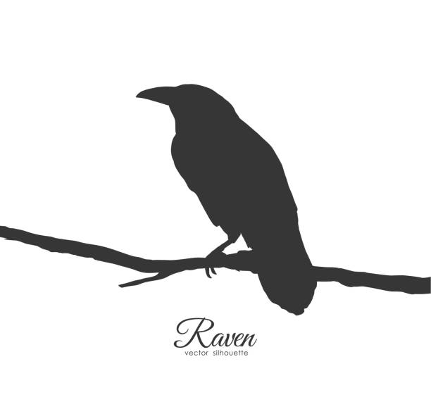 Raven Tree Tattoo Illustrations, Royalty-Free Vector Graphics & Clip Art -  iStock