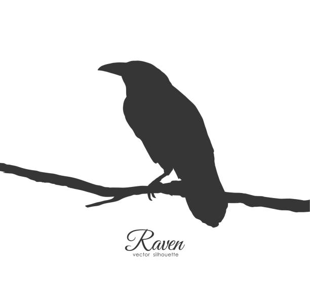 Raven Tree Tattoo Illustrations, Royalty-Free Vector Graphics & Clip Art - iStock Raven Tree Tattoo Illustrations, Royalty-Free Vector Graphics & Clip Art - iStock