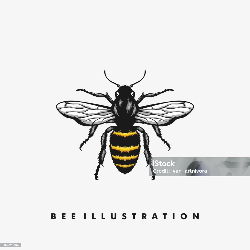 Bee Illustration Concept illustration vector Design template Bee Illustration Concept illustration vector Design template. 
Suitable for Creative Industry, Multimedia, entertainment, Educations, Shop, and any related business Bee stock vector