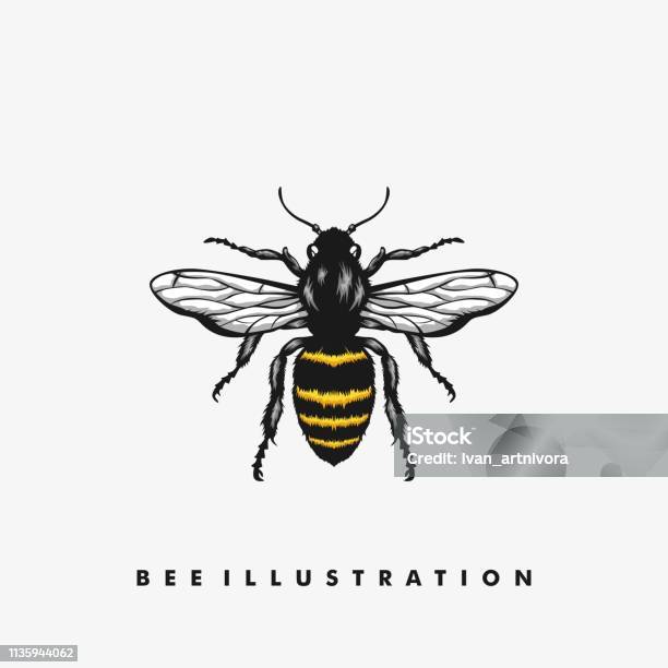 Bee Illustration Concept Illustration Vector Design Template Stock Illustration - Download Image Now