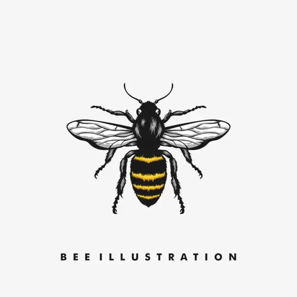 Vector illustration of Bee Illustration Concept illustration vector Design template