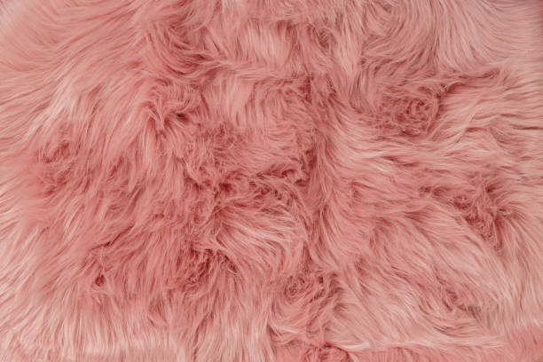 istock Pink fur background. Pink sheepskin background and texture. 1135947088
