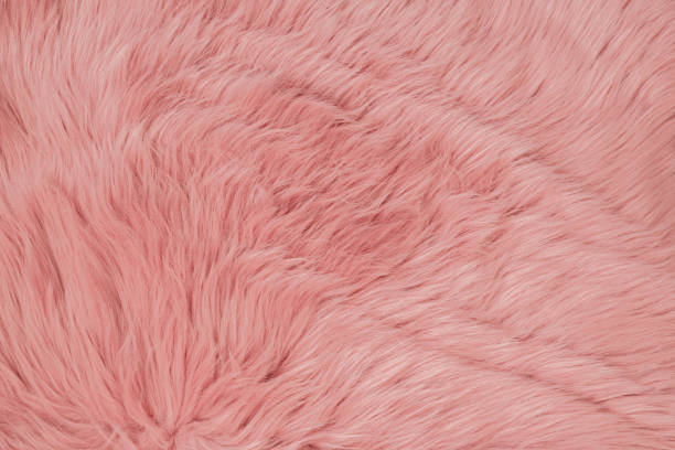 istock Pink fur background. Pink sheepskin background and texture. 1135947092