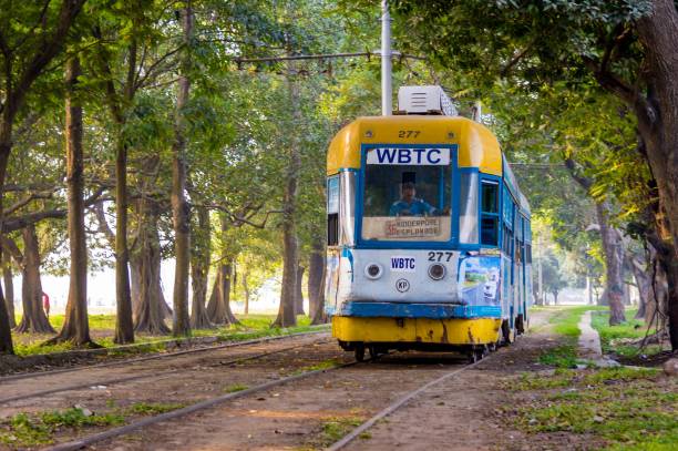 A Tram Running Through The Maidan On A Sunny Morning At Kolkata West Bengal  India Stock Photo - Download Image Now - iStock
