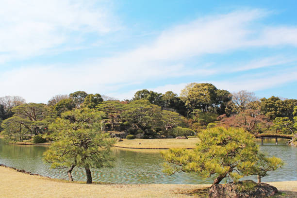 "rikugien gardens" em bunkyo-ku, tóquio. - footpath tree japan stepping stone - fotografias e filmes do acervo