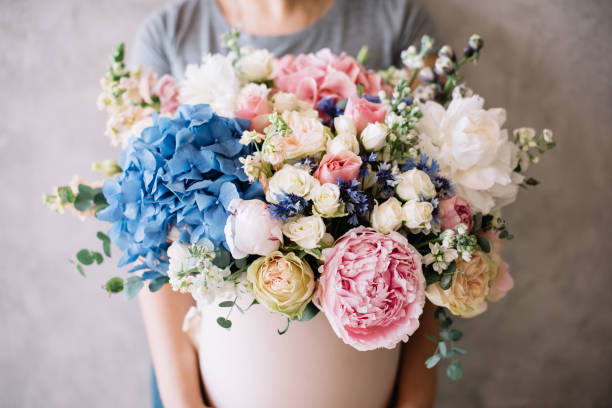 Very nice young woman holding beautiful tender blossoming basket of fresh hydrangea, peony, roses, eustoma, mattiola flowers in pink, blue and white colours on the grey wall background stock photo