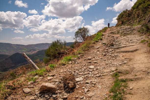 istock Tony path on the Camino Frances direction O Cebrerio 1135952986