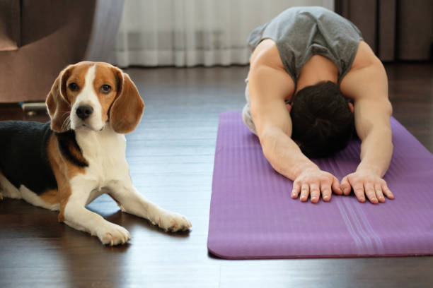 istock Yoga at home 1135953085