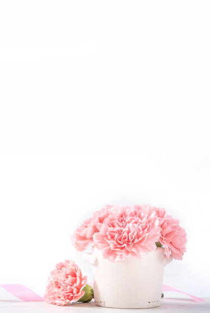明るい背景に孤立した白い花瓶に美しい咲く赤ちゃんピンクの柔らかいカーネーション、5月の母親の日の挨拶 mum アイデアコンセプト写真、クローズアップ、コピースペース、モックアップ - carnation mothers day florist flower ストックフォトと画像