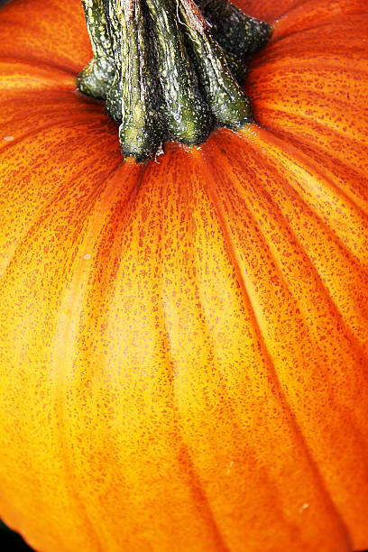 istock It is yellow an orange pumpkin 113595449