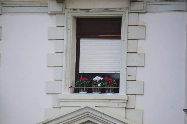 istock window in the white house 1135954904
