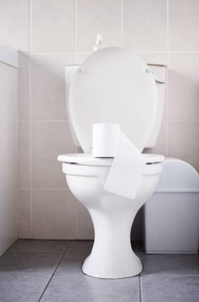 istock Toilet paper bowl on bowl 1135956454