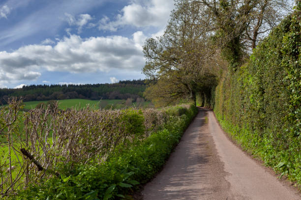 istock English countryside 1135956567