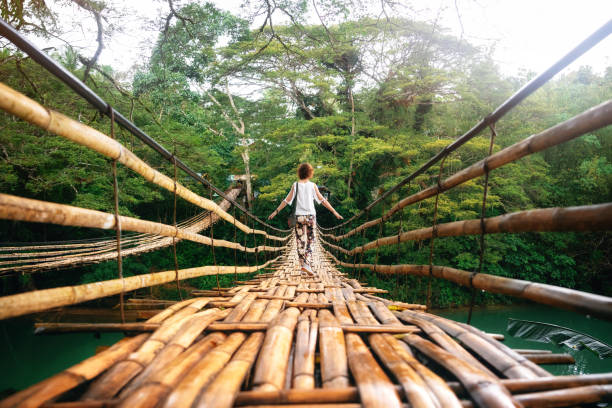 Young woman on bamboo bridge in Bohol, Philippines Back view of young woman on suspension wooden bamboo bridge across Loboc river in jungle. Vacation on tropical island. Bohol, Philippines bohol photos stock pictures, royalty-free photos & images