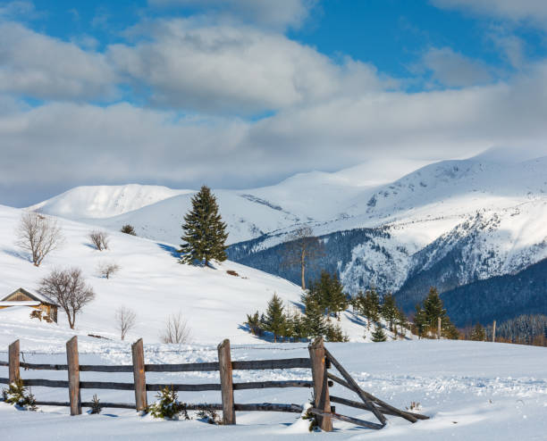 겨울 아침 산 시골 눈 덮인 길 - footpath european alps fence woods 뉴스 사진 이미지