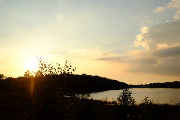 istock Golden sunset or sunrise with tree silhouettes over a forest lake 1135966441