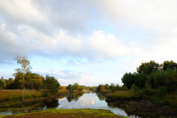 istock Forest and hay countryside landscape 1135966442
