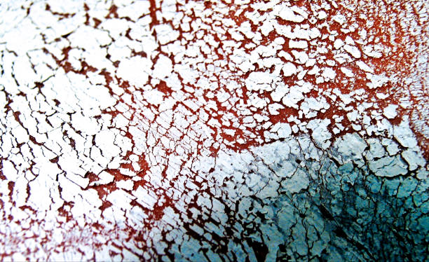 istock Elements textures Series 18 of 18. 1135966463