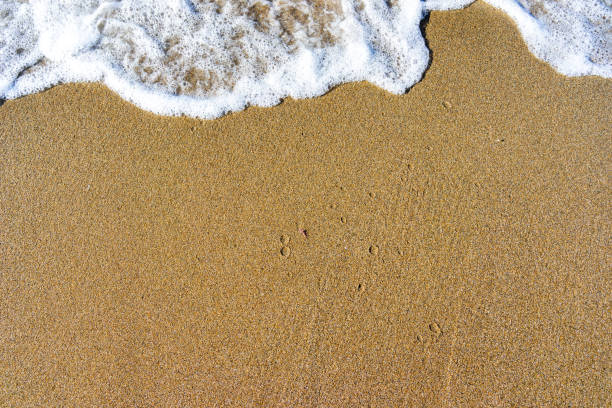 istock Soft wave of blue sea on sandy beach. 1135969327