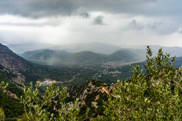 istock olive plantation on mountain the Crete,Greece 1135969371