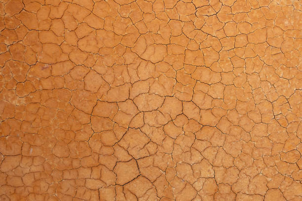 istock wall made of mud with cracks as background and texture 1135969820