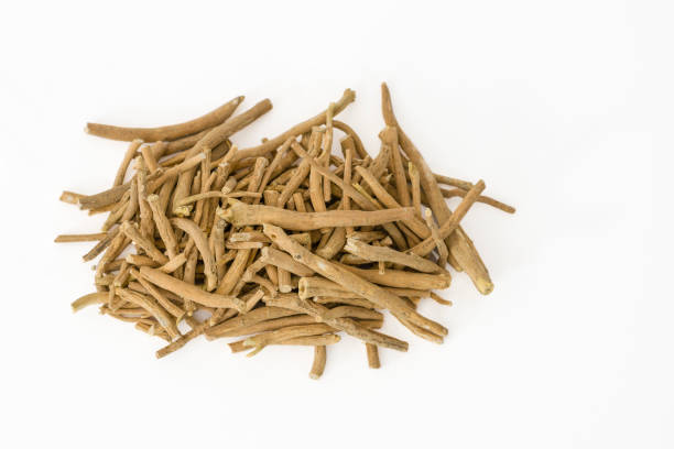 Ashwagandha or winter cherry roots Ashwagandha (Withania somnifera) or winter cherry roots on a white background nightshade family photos stock pictures, royalty-free photos & images