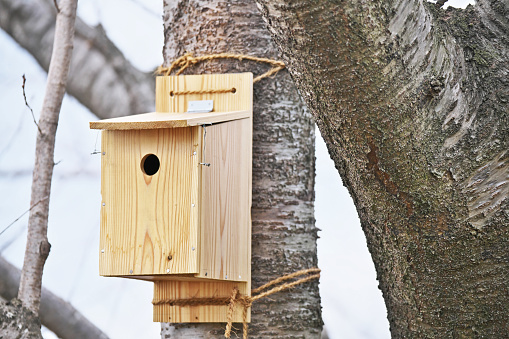 Birdhouse for birds\nNest box for wild birds