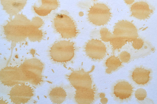 istock Brown spots on a sheet of paper. 1135974640