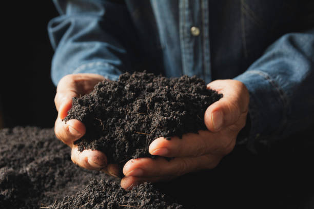 istock Male holding soil in the hands for planting concept. 1135976623