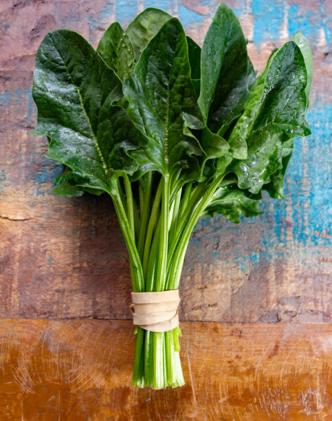istock Bunch of green fresh organic spinach leaves 1135976859