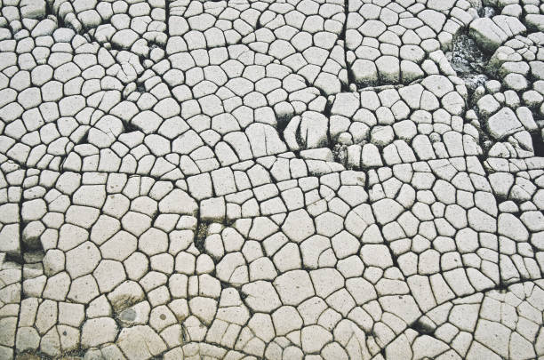Volcanic stones pattern, cold lava, Cape Stolbchaty, Kunashir island