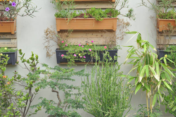 istock Tree wall background Wall pot Modern Chinese garden blend 1135980266