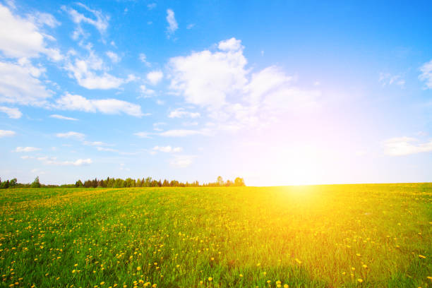istock green field and beautiful sunset 1135984158