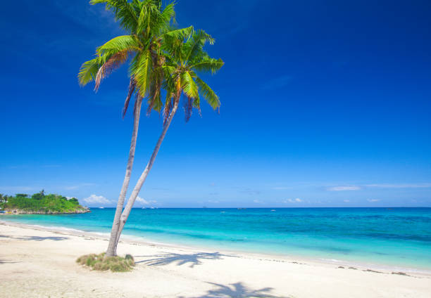 istock beach and beautiful tropical sea 1135984228