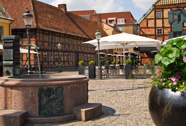 lilla torg en malmo en el verano. suecia. - malmo fotografías e imágenes de stock