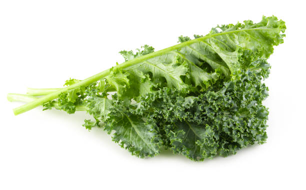 istock Fresh organic green kale leaves isolated over white background 1135985356