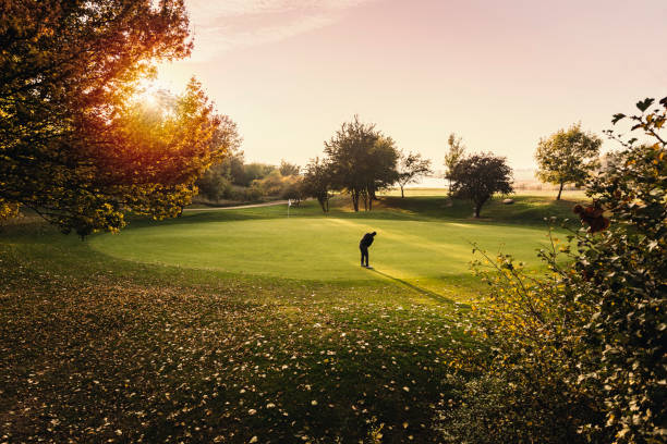 istock Golfer on the putting green 1135988599