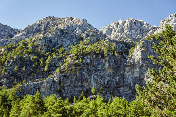 Lefka Ori - rocky sewn in the White Mountains on the island of Crete