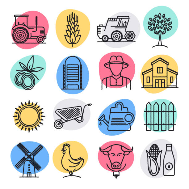 illustrazioni stock, clip art, cartoni animati e icone di tendenza di set di icone vettoriali in stile doodle per la produzione alimentare sostenibile - food meat doodle dairy product