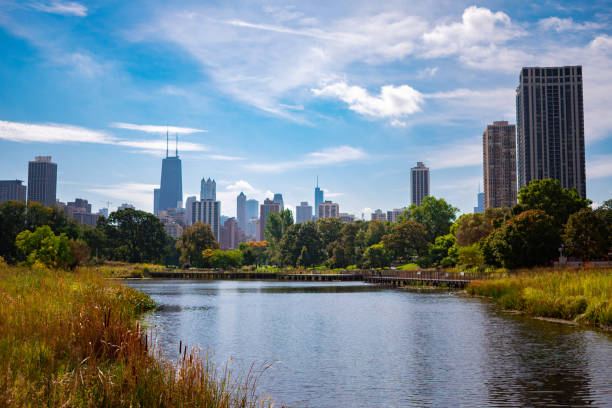 istock Chicago Skyline from South Pond in Lincoln Park 1135998614