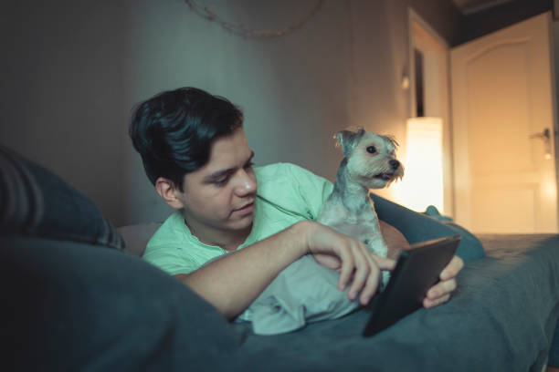 istock Teenage boy using social media 1135999717