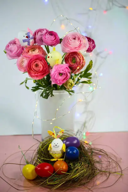 Ranunkeln in pink, macro, spring , flowers Ranunculus asiaticus with easter basket