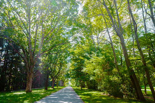 Footpath through Park in New Jersey