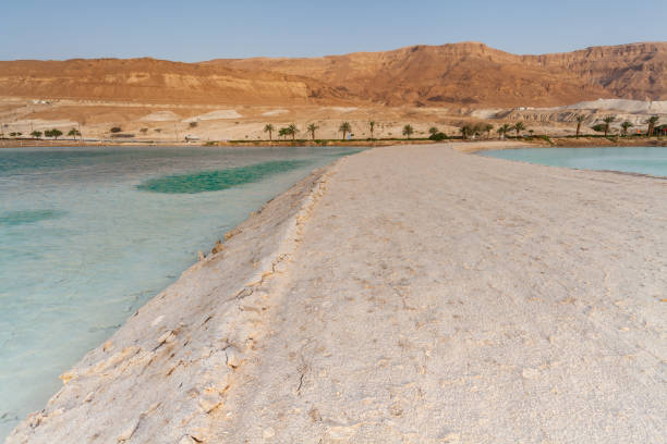 istock Beautiful view of the Dead Sea . 1136008738